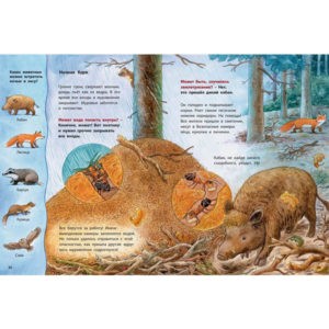 "Где живёт муравьишка" Фридерун Райхенштеттер, Энас