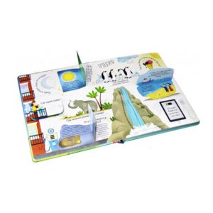 "Вопросы и ответы о самом важном", Робинс