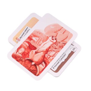 Настольная игра "Элементарно! Дело пропавшего суриката", Стиль Жизни