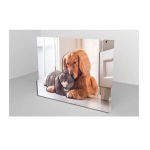 Папертоль "Британский кот и золотистый ретривер"