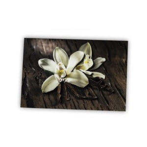 Папертоль "Ванильная орхидея"