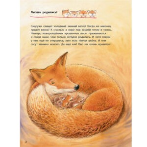 "Лисёнок и другие звери в лесу" Фридерун Райхенштеттер, Энас