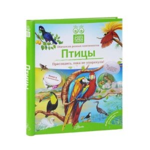 Книга-энциклопедия с окошками "Мои первые открытия. Птицы", АСТ