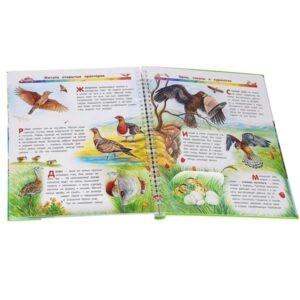 Книга-энциклопедия с окошками "Мои первые открытия. Птицы", АСТ