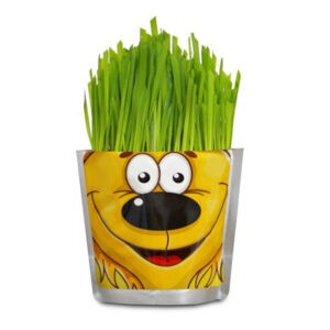 Набор для выращивания растений "Сафари. Львенок", Happy Plant