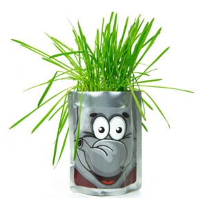 Набор для выращивания растений "Сафари. Слон", Happy Plant