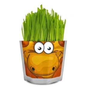 Набор для выращивания растений "Сафари. Жираф", Happy Plant