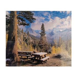 Картина 9D 2в1 "Отдых в лесу"