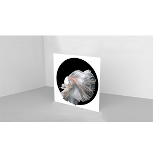 Папертоль «Рыбка Анастасия»