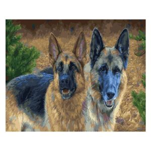 Картина по номерам "Овчарки" RSB8279