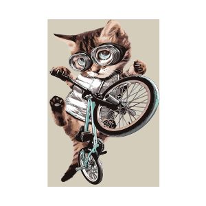 Картина по номерам «Кот на велосипеде» 40*50 GX43387