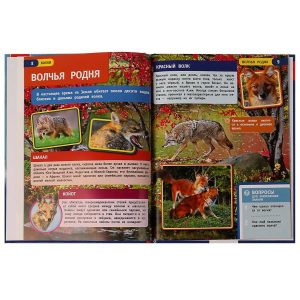 Детская энциклопедия "Волки", УМка