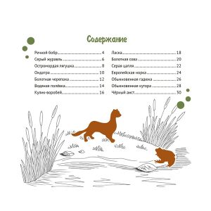 Ольга Богданова "Белорусские болота"